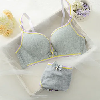 Young Girl Push Up Seamless Bra Sets Solid Color Gathered Ladies Underwear Set Cute Sweet Female Lingerie Bra And Briefs Set
Young Girl Push Up Seamless Bra Sets Solid Color Gathered Ladies Underwear Set Cute Sweet Female Lingerie Bra And Briefs Set