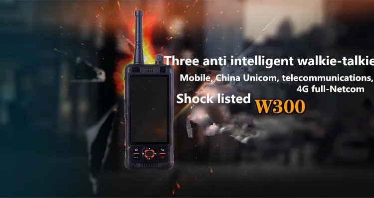 W300_01_