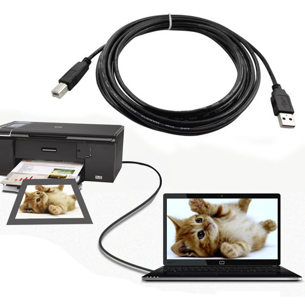 1M Data Cable Professional Black USB 2.0 Wire A to B Square Mouth Printers Scanner Data Cable Line Lead #2
1M Data Cable Professional Black USB 2.0 Wire A to B Square Mouth Printers Scanner Data Cable Line Lead #2