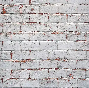 TR 5X7ft Art fabric photo studio newborn baby backdrop photography background white brick wall backdrop for children photo shoot
TR 5X7ft Art fabric photo studio newborn baby backdrop photography background white brick wall backdrop for children photo shoot