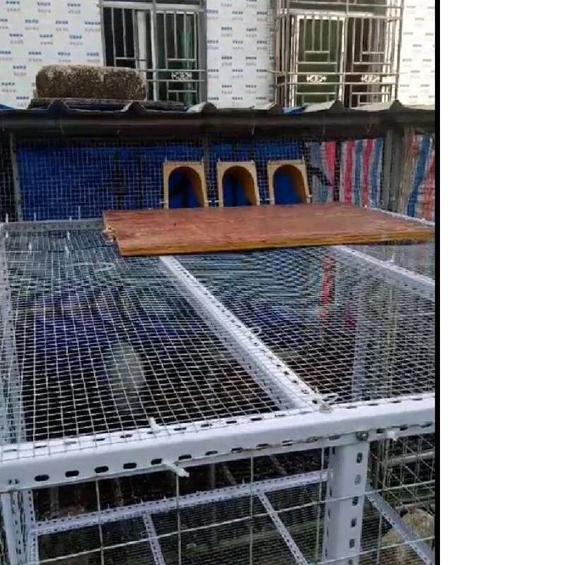 Pigeon Cage Door Racing Activities Pigeon European Cage Entrance Door Barrier Free Entry Port Pigeon Bird Tools Wholesale