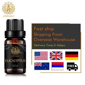 Pure Natural Eucalyptus Oil 10ml Glass Bottle Relieve Scalp Discomfort Reduce Greasy Feeling Eucalyptus Massage Oils Aroma Oil
Pure Natural Eucalyptus Oil 10ml Glass Bottle Relieve Scalp Discomfort Reduce Greasy Feeling Eucalyptus Massage Oils Aroma Oil