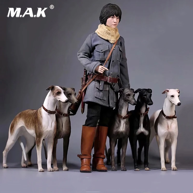 6 Colors Mr.Z 1/6 Scale No.14 Greyhound Animal Dog Model Toy for 12 inches Action Figure Accessories Collections
6 Colors Mr.Z 1/6 Scale No.14 Greyhound Animal Dog Model Toy for 12 inches Action Figure Accessories Collections