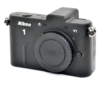 419IaeXr7fL
