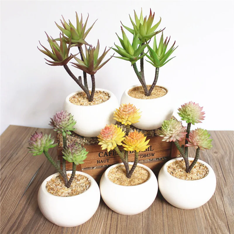 Artificial Grass Succulent Plant Bonsai 18cm Decoration Creative DIY Home Decoration Office Decor Artificial Cactus Plant
Artificial Grass Succulent Plant Bonsai 18cm Decoration Creative DIY Home Decoration Office Decor Artificial Cactus Plant