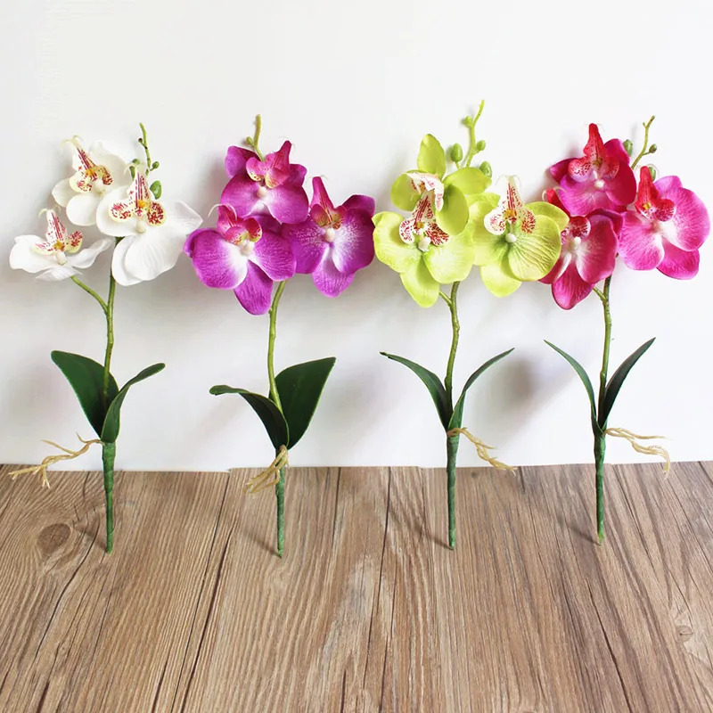 Creative Flowers Fancy Four Butterfly Orchid Meaty Plant Bonsai Flower Arranging Accessories MJJ88
Creative Flowers Fancy Four Butterfly Orchid Meaty Plant Bonsai Flower Arranging Accessories MJJ88