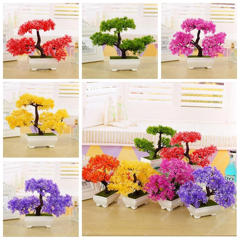 10 pcs/ bag Bonsai Welcoming Pine Tree Indoor Perennial Woody Pine Plants for Miniature Garden Flower Pot Planters Easy Grow
10 pcs/ bag Bonsai Welcoming Pine Tree Indoor Perennial Woody Pine Plants for Miniature Garden Flower Pot Planters Easy Grow