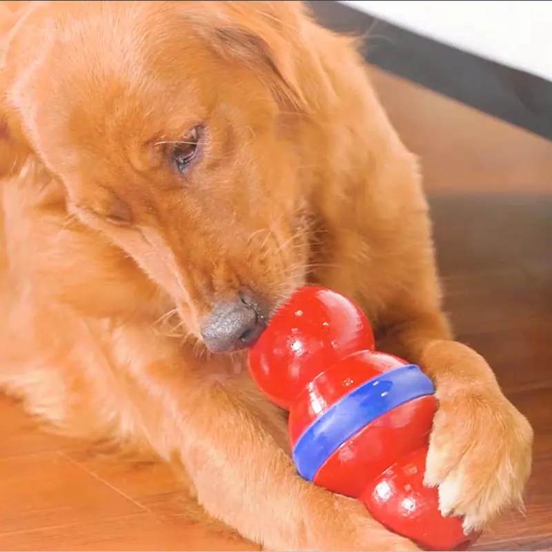Funny Interactive Toys for Dogs Tough Dog Toys Elasticity Ball Dog Chew Toy For Dog Toy Tough Rubber Pet Dog Ball
Funny Interactive Toys for Dogs Tough Dog Toys Elasticity Ball Dog Chew Toy For Dog Toy Tough Rubber Pet Dog Ball