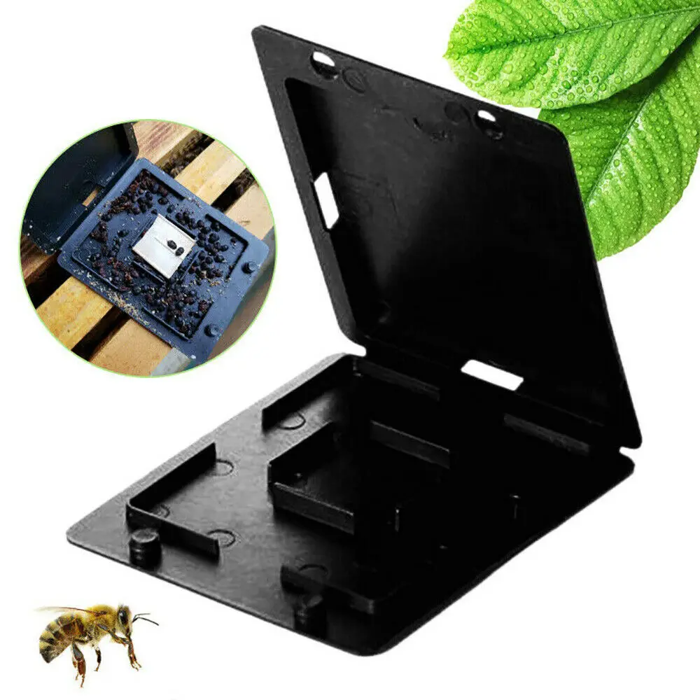 Black Plastic Beehive Hive Beetle Housefly Insect Trap Case Cover Cockroach Trap Repellent Killing Bait For room decoration
Black Plastic Beehive Hive Beetle Housefly Insect Trap Case Cover Cockroach Trap Repellent Killing Bait For room decoration