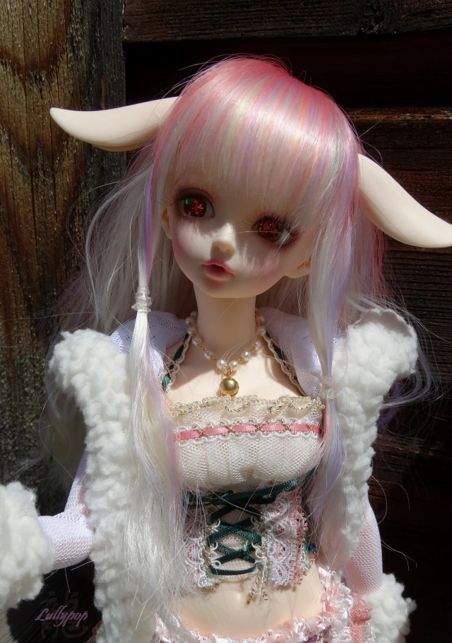 bjd rin