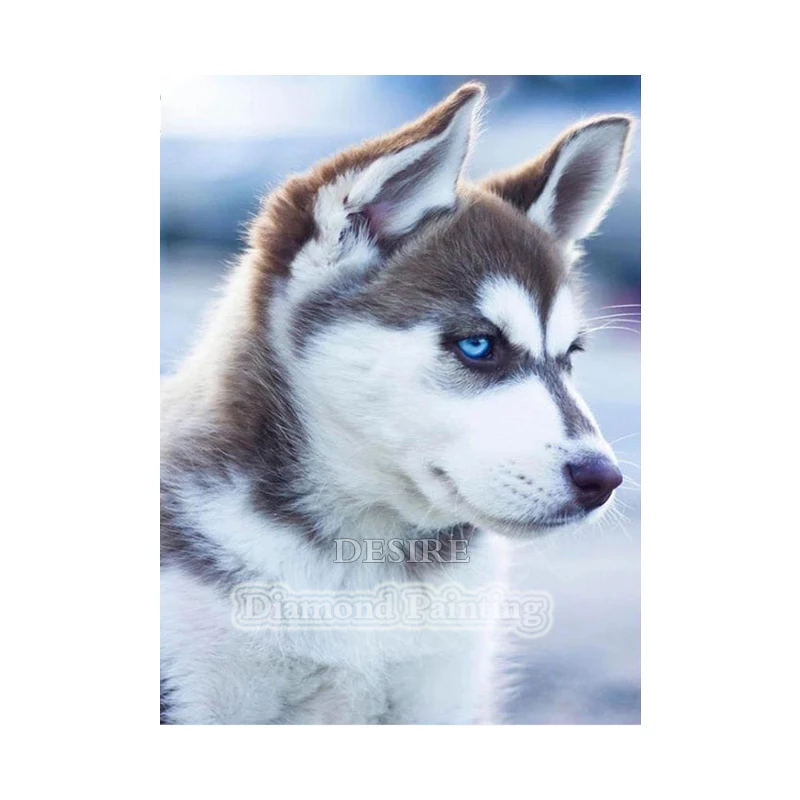Desire White Wolf Dog 5D DIY Алмазная Вышивка крестом бисером Вышивание полный квадратный