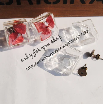 10pcs Square Glass Liquid bubble Pendant ,glass vial pendant & 10mm pad earpin stud earring DIY glass vial stud earring
10pcs Square Glass Liquid bubble Pendant ,glass vial pendant & 10mm pad earpin stud earring DIY glass vial stud earring