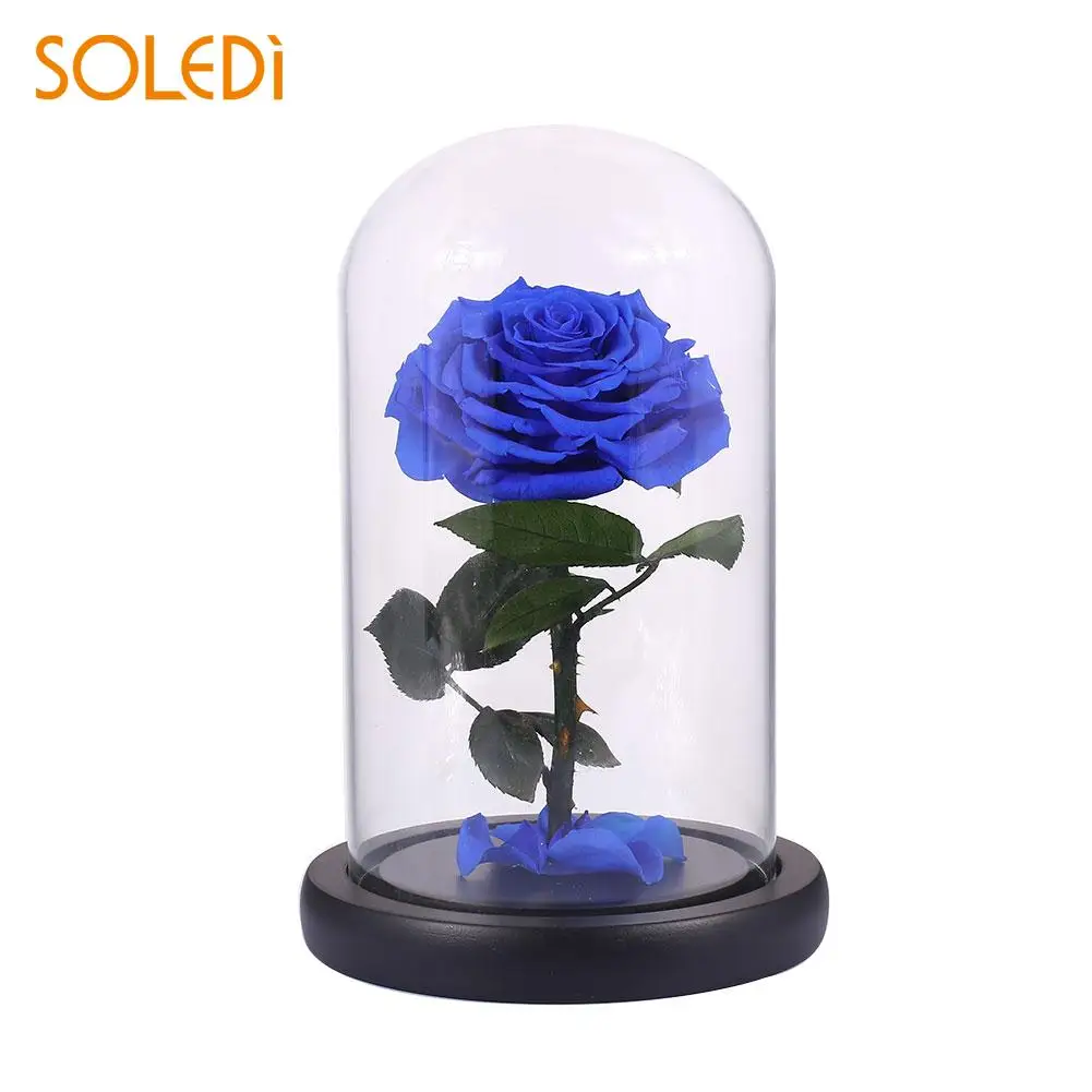 Glitter Beautiful Preserved Fresh Flowers Eternal Rose Flower Floral Decor Fresh Flowers PINK/BLUE/Red/Purple Glass Ornamental
Glitter Beautiful Preserved Fresh Flowers Eternal Rose Flower Floral Decor Fresh Flowers PINK/BLUE/Red/Purple Glass Ornamental