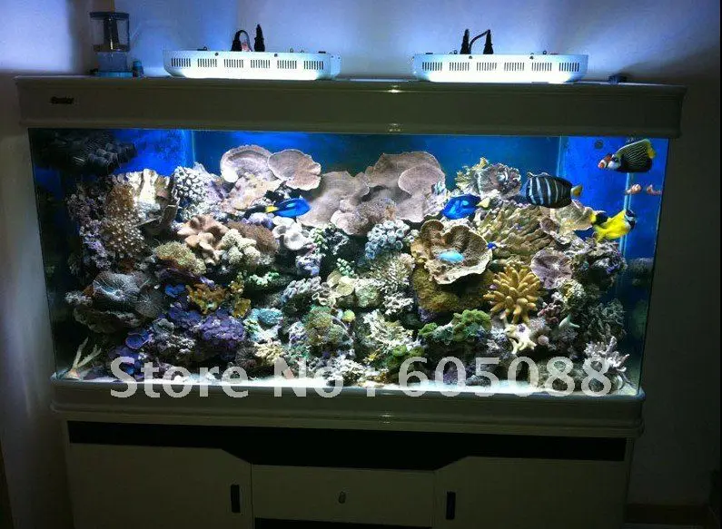 16"x9" 120w dimmalbe high power led aquarium tank light blue&white color ratio 1:1 life>50,000hrs nice for hydrophyte lighting
16"x9" 120w dimmalbe high power led aquarium tank light blue&white color ratio 1:1 life>50,000hrs nice for hydrophyte lighting