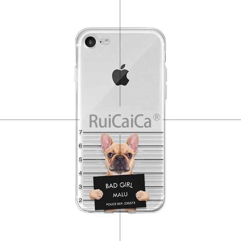 Cute Puppy Pug Cool French Bulldog Dog