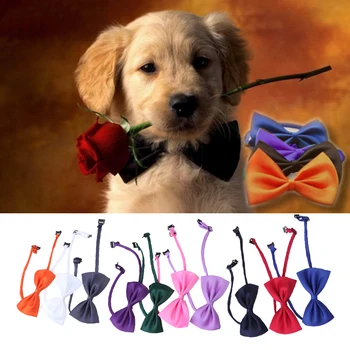 10PCS Lovely Cute Bow Butterfly Tie Neckties Decor Adjustable Colorful Dog Cat Pet Necktie Neck Collar for Wedding Party
10PCS Lovely Cute Bow Butterfly Tie Neckties Decor Adjustable Colorful Dog Cat Pet Necktie Neck Collar for Wedding Party