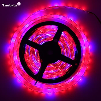 5M/lot LED Grow Lights DC12V Growing LED Strip Tape Light 5050 IP65 LED Plant Growth Lamps for Greenhouse Hydroponic plant
5M/lot LED Grow Lights DC12V Growing LED Strip Tape Light 5050 IP65 LED Plant Growth Lamps for Greenhouse Hydroponic plant