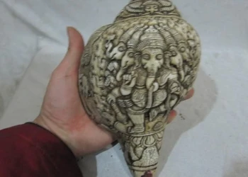 Tibet Buddhism trumpet shell Handwork Carve Elephant God of wealth Conch of Fame
Tibet Buddhism trumpet shell Handwork Carve Elephant God of wealth Conch of Fame