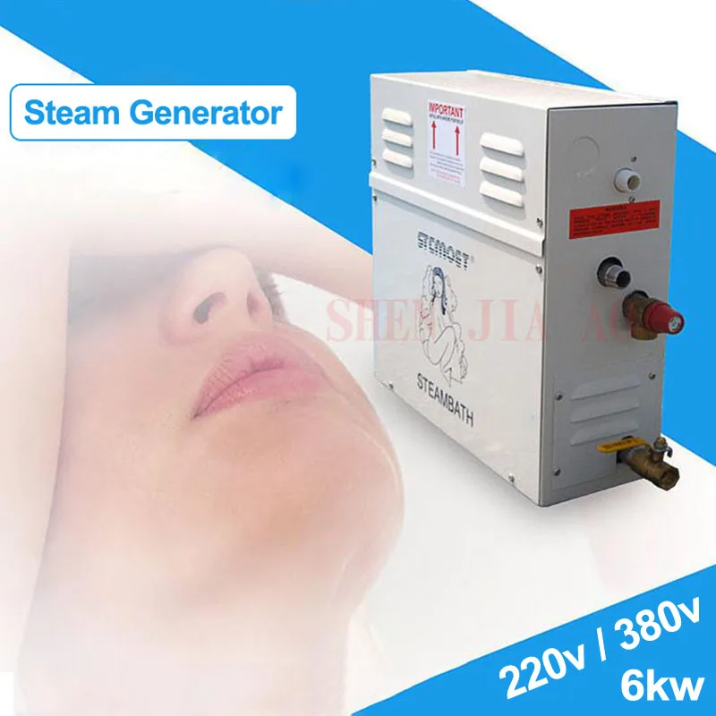 

6KW 220V/380v Home Steam generator Sauna Dry stream machine Wet Steam Steamer digital controller spa Relax-tired steam bathroom