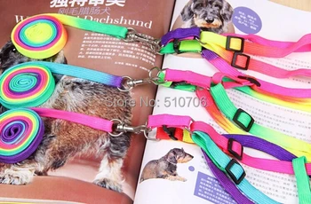 Free Shipping+Wholesale Nylon Pet Cat Doggie Puppy Leashes Lead Harness Belt Rope,50pcs/lot
Free Shipping+Wholesale Nylon Pet Cat Doggie Puppy Leashes Lead Harness Belt Rope,50pcs/lot