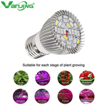 E27 Led Grow Light Full Spectrum Cob Led Lamps for Plants Grow Lamp Greenhouse Indoor Garden Hydroponic System AC 85-265V
E27 Led Grow Light Full Spectrum Cob Led Lamps for Plants Grow Lamp Greenhouse Indoor Garden Hydroponic System AC 85-265V