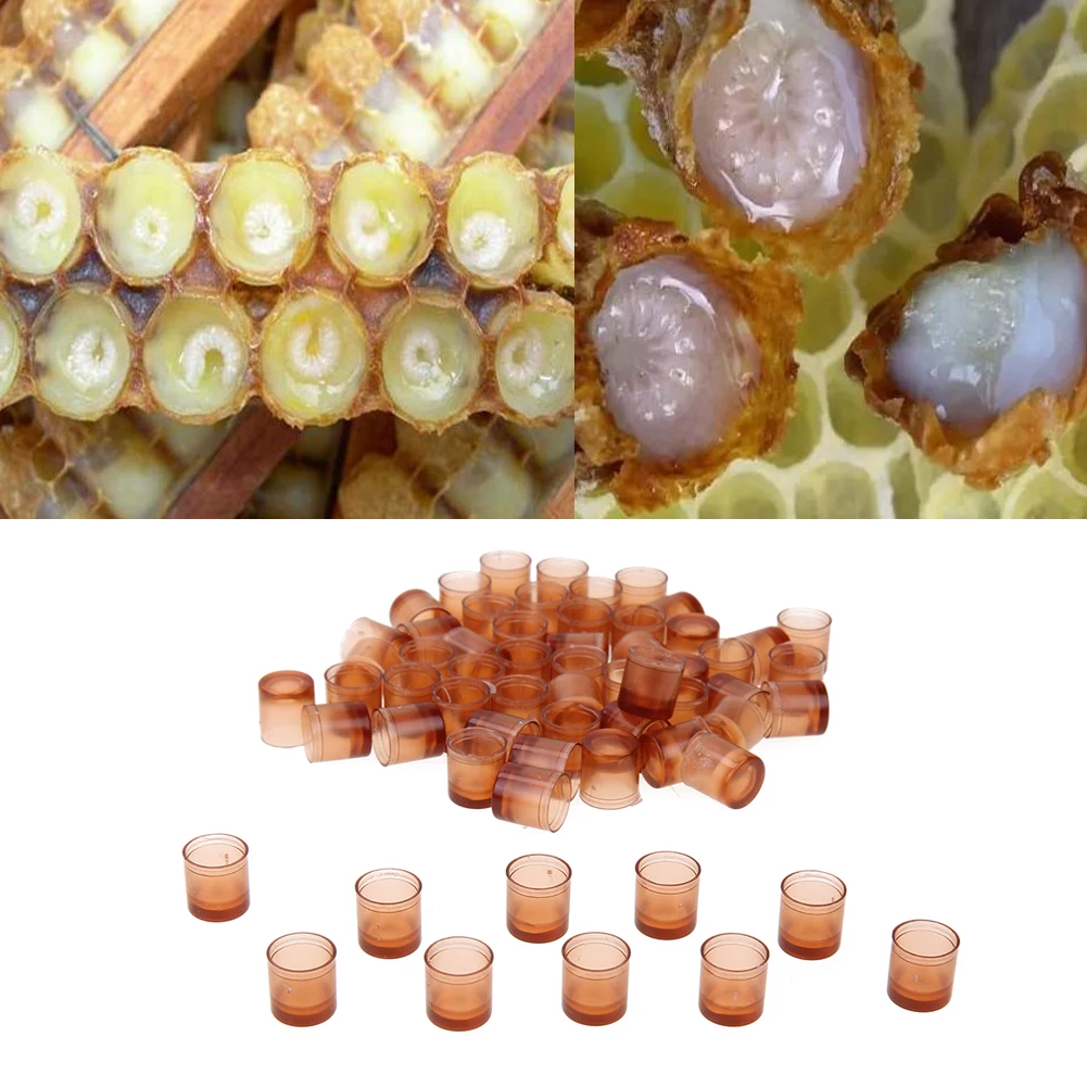 100pcs Queen Bee Cultivation Cup Plastic Cultivation Box Beekeeping Equipment Bee Tools
100pcs Queen Bee Cultivation Cup Plastic Cultivation Box Beekeeping Equipment Bee Tools