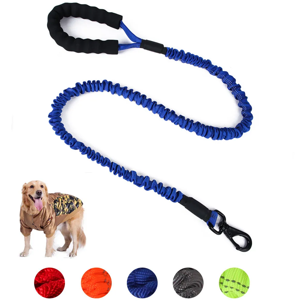 High Elastic Dog Leashes Srong Nylon Line Soft PP Handle For Large Dog Walking Training Reflective Collar Leads Pets Supplier
High Elastic Dog Leashes Srong Nylon Line Soft PP Handle For Large Dog Walking Training Reflective Collar Leads Pets Supplier