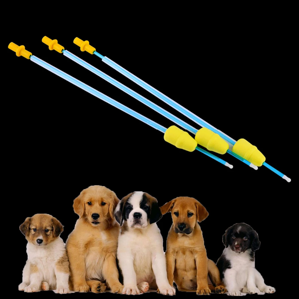5set professional canine dog pet pets artificial insemination uteru semen sperm pipe tube disposable catheter foam tip accurate
5set professional canine dog pet pets artificial insemination uteru semen sperm pipe tube disposable catheter foam tip accurate