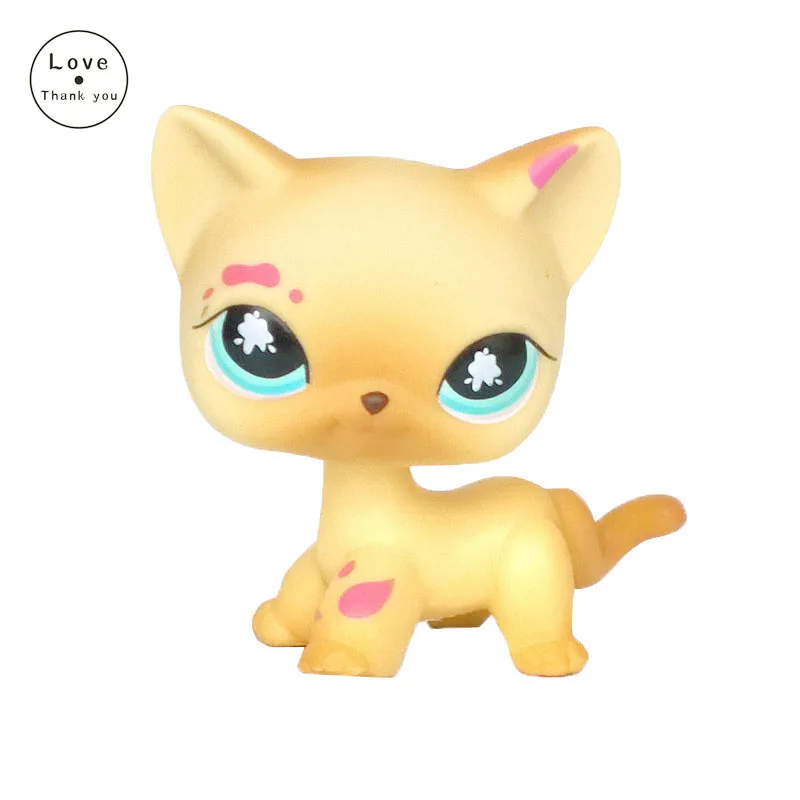 pet shop lps toys Original Yellow Short Hair Cat #816 Real Rare Kitten Collection For Kids Gift Free Shipping
pet shop lps toys Original Yellow Short Hair Cat #816 Real Rare Kitten Collection For Kids Gift Free Shipping