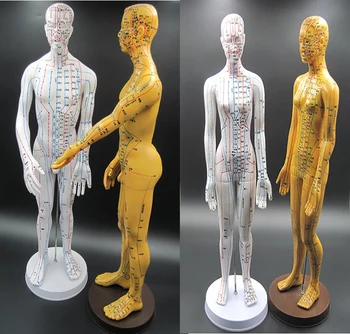 New Style Human Acupoint Mannequin Hot Sale Female&Male Mannequin Made In China
New Style Human Acupoint Mannequin Hot Sale Female&Male Mannequin Made In China