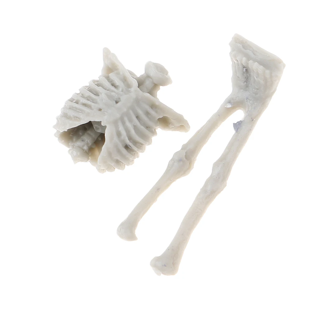4Pcs 1:35 Scale Unpainted Unassemble Resin Skull Skeleton Model for Sand Table Armor Landcsape Diorama Building Toys