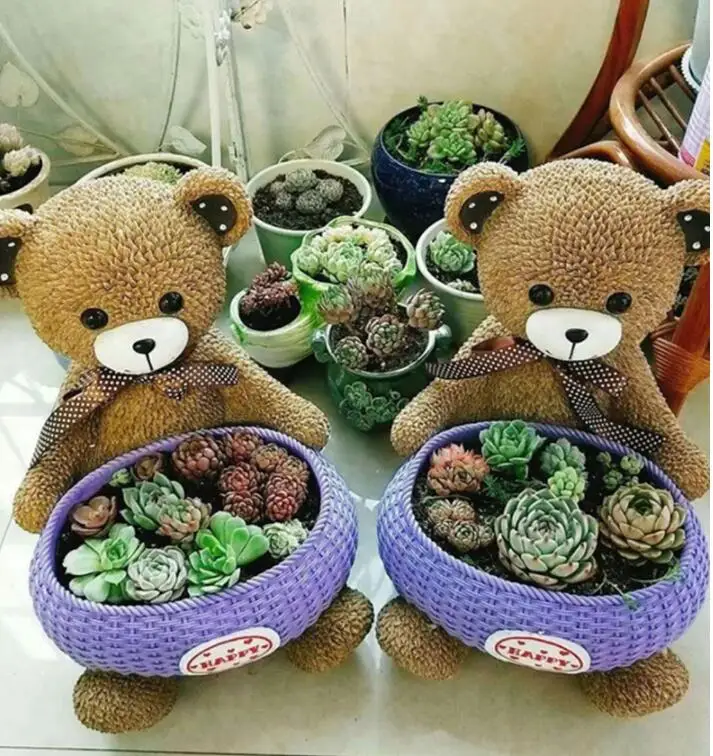 Succulent Plants Planter VASE Novelty personality Flower Pot Desktop Potted Scandinavian EU Home Garden Decoration Plants Holder
Succulent Plants Planter VASE Novelty personality Flower Pot Desktop Potted Scandinavian EU Home Garden Decoration Plants Holder