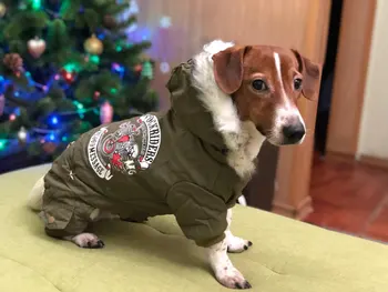 Pet Dog Clothes Russia Winter Warm Coat Jumpsuit Hoodie Thicken Cotton-Padded Pet Clothing For Teddy Dogs Costume Cat Clothes
Pet Dog Clothes Russia Winter Warm Coat Jumpsuit Hoodie Thicken Cotton-Padded Pet Clothing For Teddy Dogs Costume Cat Clothes