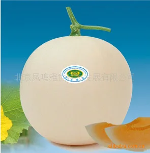 2018 Sale Hot Sale Outdoor Plants Very Easy Mini Garden bonsai Jingyu Thick Sweet Pumpkin Moon 10 Pcs Organic Vegetable bonsai
2018 Sale Hot Sale Outdoor Plants Very Easy Mini Garden bonsai Jingyu Thick Sweet Pumpkin Moon 10 Pcs Organic Vegetable bonsai
