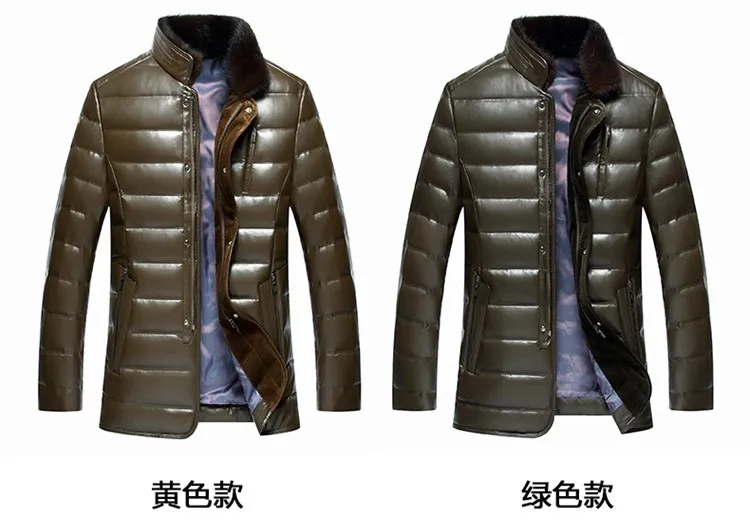 5_conew1