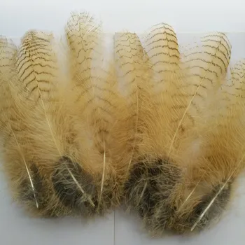 Wholesale 10pcs / lot beautiful rare eagle feathers long 8-10 inch / 20-25 cm DIY decoration
Wholesale 10pcs / lot beautiful rare eagle feathers long 8-10 inch / 20-25 cm DIY decoration