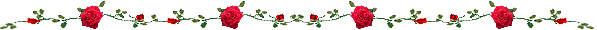 HTB1ZaZBXWWs3KVjSZFx5jaWUXXae.gif (597×30)