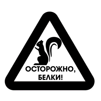 Funny stikers for cars vinyl car wrap waterproof for auto or car styling Caution the proteins cute auto decal in black or silver
Funny stikers for cars vinyl car wrap waterproof for auto or car styling Caution the proteins cute auto decal in black or silver