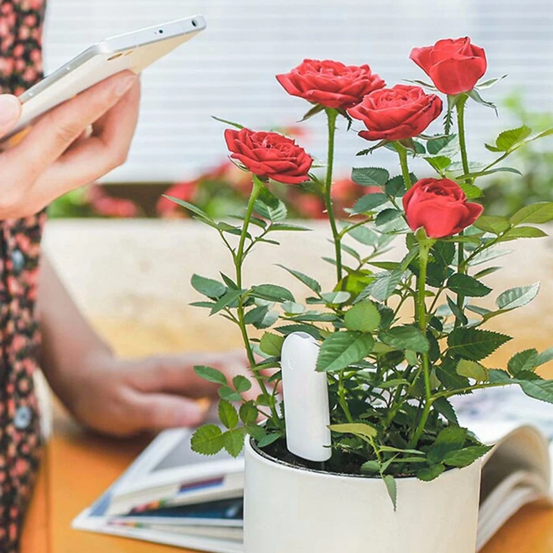 Xiaomi Smart Flower Monitor