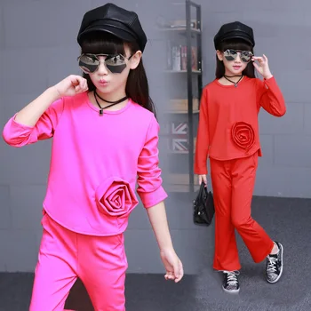 New 2017 Autumn New Children's Clothing Long-sleeved Two-piece Children's Fashion Princess Girl Outfit Clothing Set
New 2017 Autumn New Children's Clothing Long-sleeved Two-piece Children's Fashion Princess Girl Outfit Clothing Set