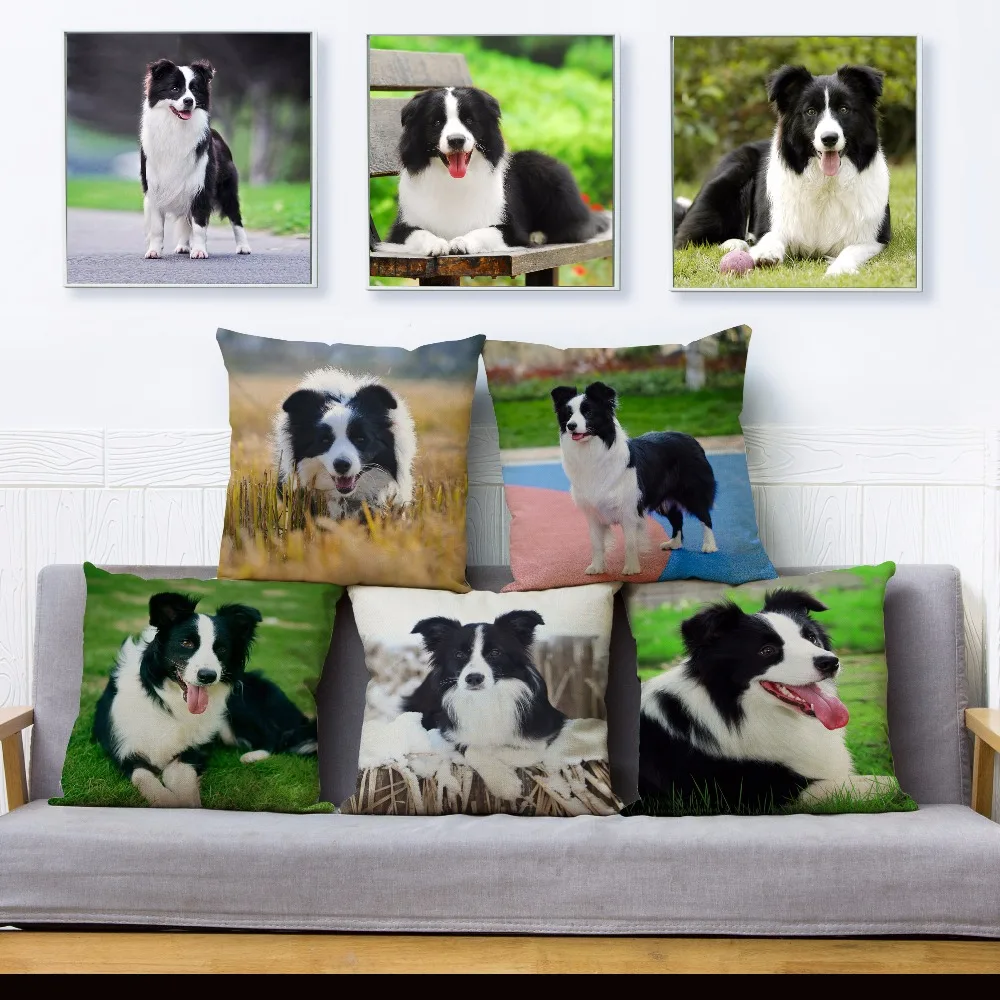 Cute Scotland Border Collie Dog Print Throw Pillow Cover 45*45 Textile Cushion Covers Linen Pillows Cases Home Decor Pillow Case
Cute Scotland Border Collie Dog Print Throw Pillow Cover 45*45 Textile Cushion Covers Linen Pillows Cases Home Decor Pillow Case