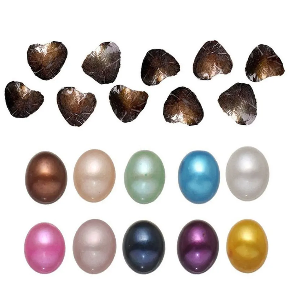 10/20pcs 6-8 mm Natural Oval Bead Oysters Pearl Oyster Pearl Mussel Individually Wrap Random Color Birthday Christmas Gift
10/20pcs 6-8 mm Natural Oval Bead Oysters Pearl Oyster Pearl Mussel Individually Wrap Random Color Birthday Christmas Gift