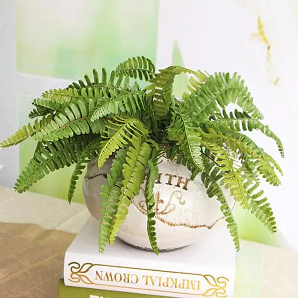SOLEDI Hot Fern Fake Plant Artificial Floral Leaves Foliage Home Office Decor wedding decoration easter decoration
SOLEDI Hot Fern Fake Plant Artificial Floral Leaves Foliage Home Office Decor wedding decoration easter decoration