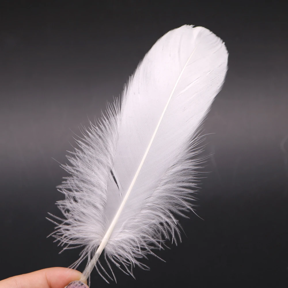 100pcs/lot Natural White goose feather for Crafts For Craft Hats Embellishments Floral Arrangement Material Accessories plume
100pcs/lot Natural White goose feather for Crafts For Craft Hats Embellishments Floral Arrangement Material Accessories plume