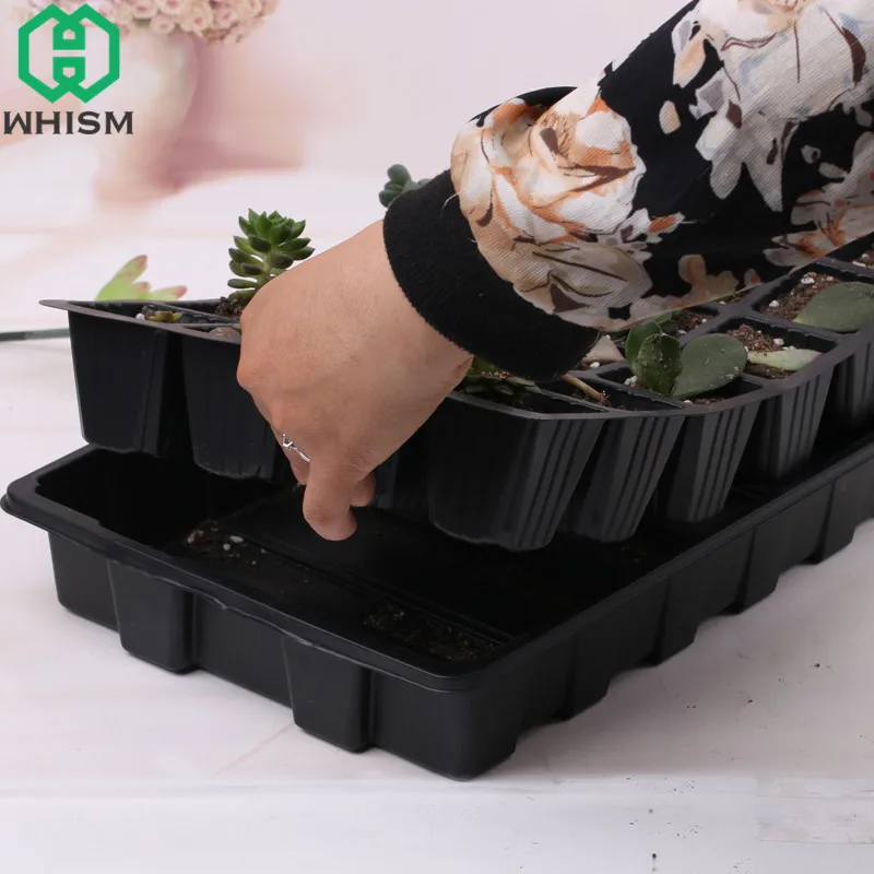 WHISM 24 Cells Seedling Sprout Plate Plastic Nursery Pots Garden Pots Planters Hydroponic Tray Flower Pot Succulents Grow Box
WHISM 24 Cells Seedling Sprout Plate Plastic Nursery Pots Garden Pots Planters Hydroponic Tray Flower Pot Succulents Grow Box