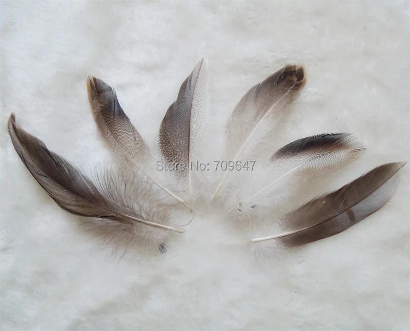100pcs/Lot 7-10cm Mallard Duck Drake Grey Flank Feathers feather crafts Hair Feathers Craft Supplies Wholesale Feathers
100pcs/Lot 7-10cm Mallard Duck Drake Grey Flank Feathers feather crafts Hair Feathers Craft Supplies Wholesale Feathers