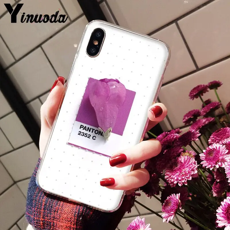Pantone Candy Color Flower
