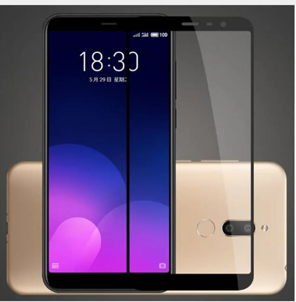 Закаленное стекло с полным покрытием для Meizu M5S M5C M6S M6T 15 Plus 16 16th X8 Note 8 9 M8 защита