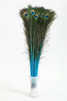 Turquoise Peacock feather 100pcs 30-35inch(80-90cm) for party event supply costumes festive decor halloween costume supply
Turquoise Peacock feather 100pcs 30-35inch(80-90cm) for party event supply costumes festive decor halloween costume supply