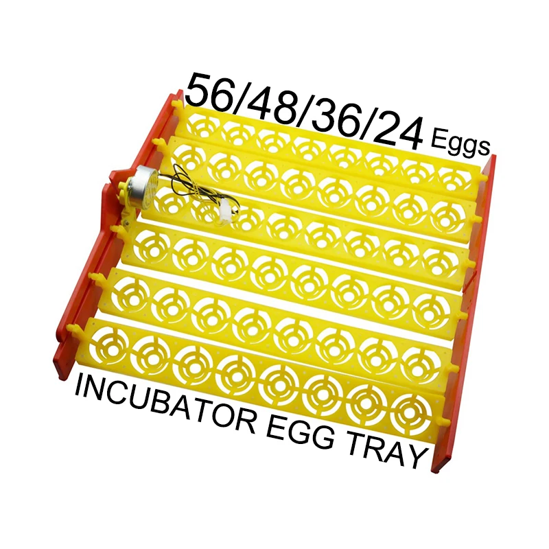 1 pcs / lot Incubator motor OR Egg tray 56/48/36/24 Eggs Positions Motor size 220V OR 110V Optional Farm poultry Hatching device
1 pcs / lot Incubator motor OR Egg tray 56/48/36/24 Eggs Positions Motor size 220V OR 110V Optional Farm poultry Hatching device